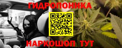 a pvp Краснокаменск